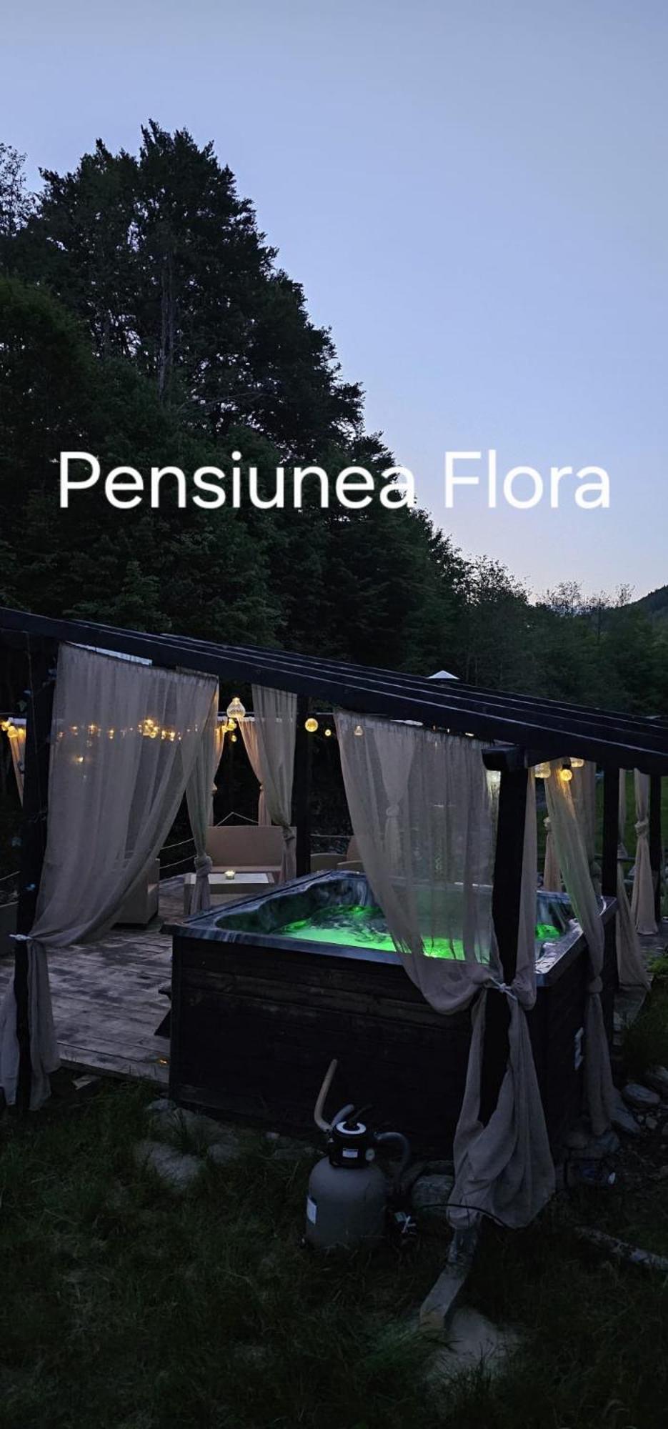 Pensiunea Flora Cîrţişoara Buitenkant foto